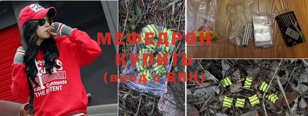 шишки Аркадак