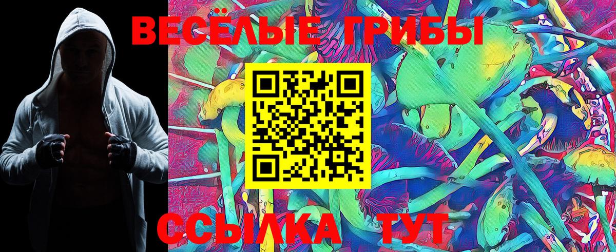 Галлюциногенные грибы GOLDEN TEACHER Одинцово