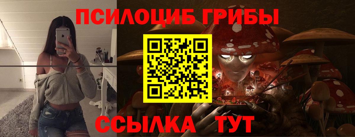 Одинцово  Псилоцибиновые грибы мицелий  Вход с VPN 