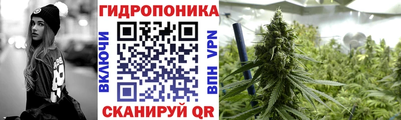 kraken онион  нарко площадка наркотические препараты  Шишки марихуана THC 21%  Одинцово 